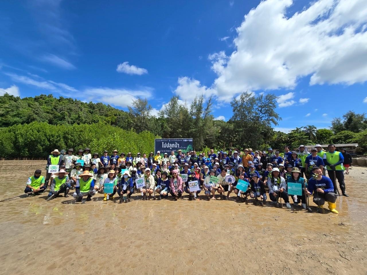 CP Foods Boosts Thai Sea Conservation with Crab Release, Mangrove Planting, and Beach Cleanup in Chumphon